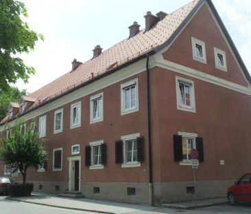 2-Zimmer-Wohnung, Top 53 - Photo 3