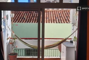 santa_cruz_de_tenerife, Canary Islands 38400