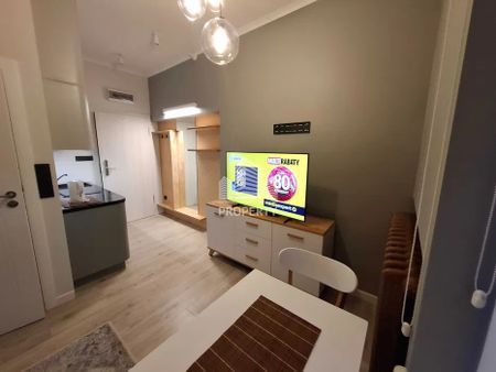 Słoneczna kawalerka po remoncie 25m2 - Photo 5