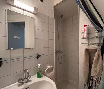 Location Appartement 1 pièce Meublé 13m² AIRE SUR L ADOUR 40800 - Photo 3