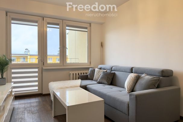 Mieszkanie na wynajem, 3 pokoje, Włocławek - Photo 1