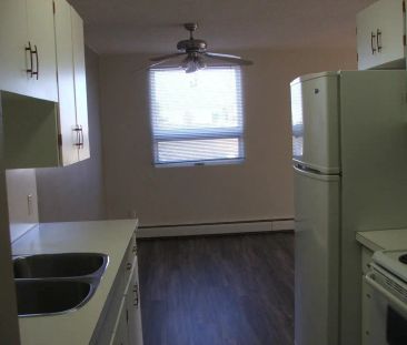 1941 Mayor Magrath Dr S — 501 - Photo 2