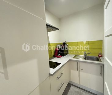 Location Appartement 1 pièce 18m² - Photo 3