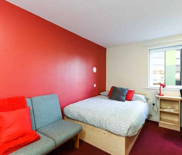 Studio Bronze - Photo 4