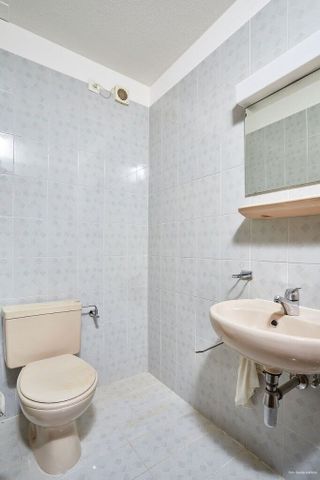 Nel cuore di Paradiso - Foto 5