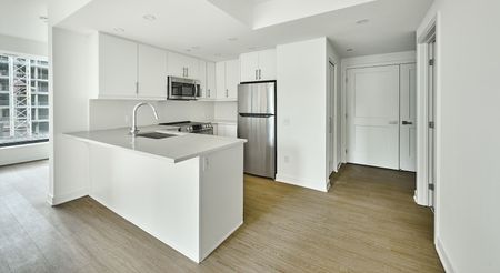 383 Albert Street, Centretown, Ottawa, ON - Photo 4