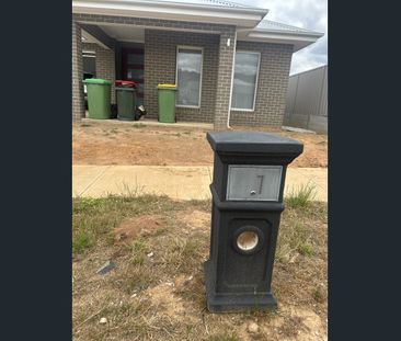 Stylish & Spacious Living at 7 Raymond Street, Leneva - Photo 4