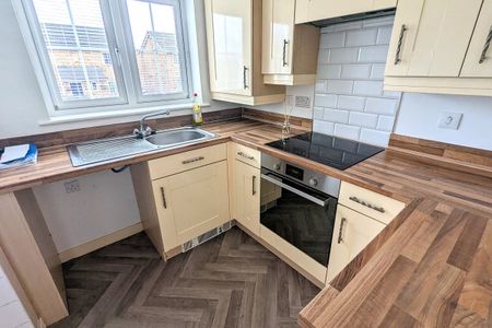 Clos Gellifaelog, TONYPANDY - Photo 2