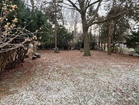 For Lease - 208 Mill Street, Richmond Hill, Ontario - Photo 4