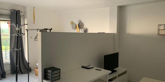 Appartement à louer, 1 pièce - Angers 49100 - Photo 3