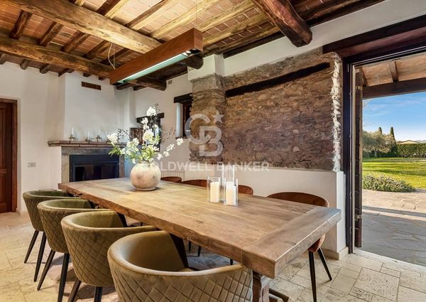 viale apua, Pietrasanta, Tuscany 55045