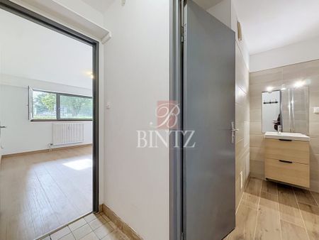 Location Appartement 1 pièce 24m² STRASBOURG 67100 - Photo 5
