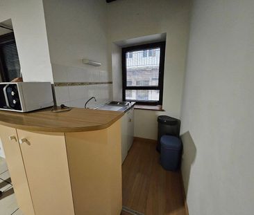 Location appartement 1 pièce 31.34 m² à Bourg-en-Bresse (01000) - Photo 3