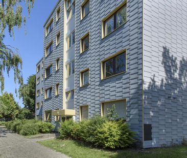 2-Zimmer-Wohnung mit Balkon in Bergheim-Niederaußem mieten - Photo 3