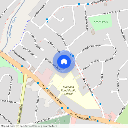 29 Woodlands Av, NSW 2170, Liverpool