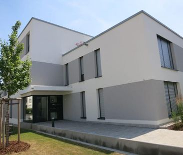 2-Zimmer-Gartenwohnung in Ingolstadt "Nähe Saturnarena" - Photo 4