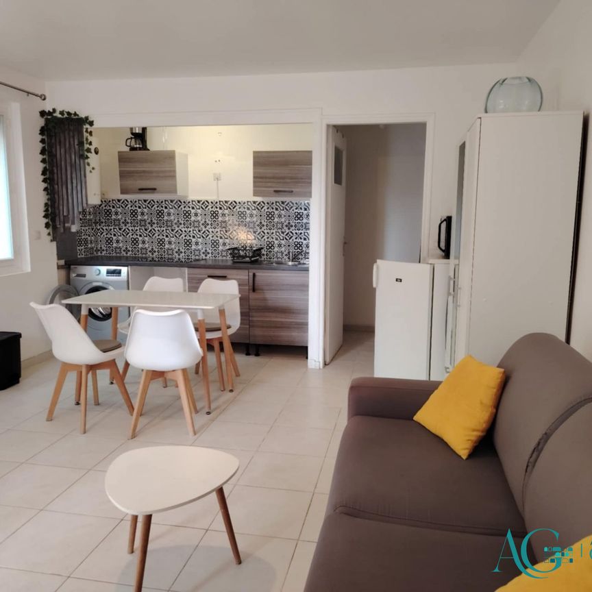Location Appartement 1 pièce 30m² HYERES 83400 - Photo 1