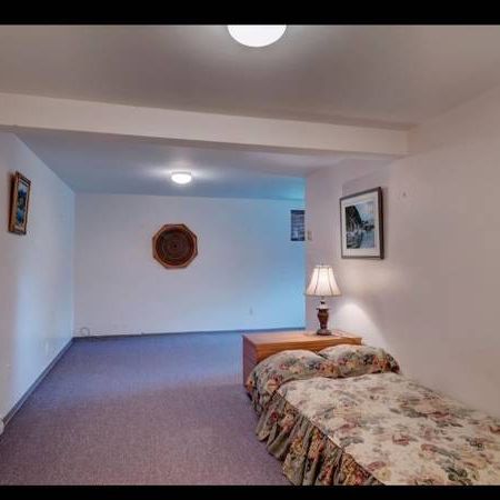 Basement Suite for rent- Ideal for 2 girls or a couple - Photo 4