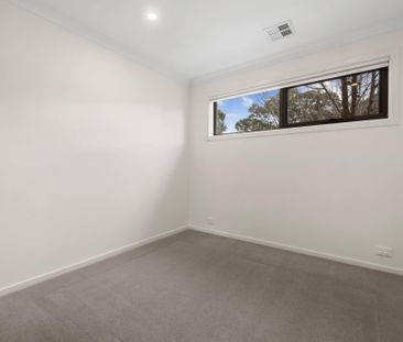 1/30 Aurora Close, Mawson ACT 2607 - House For Rent | Domain - Photo 5