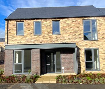 Fewston Drive - Photo 3