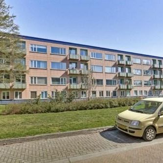 Ligusterstraat 0ong, 6543 SZ Nijmegen, Nederland - Foto 1