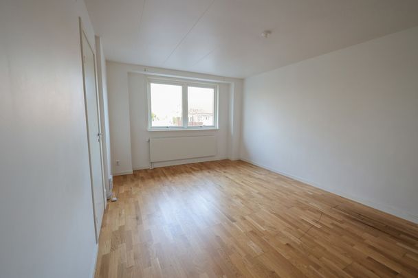 S:t Olovsgatan 162, Öster - Photo 1