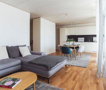 LE TICLE : Appartements neufs à louer - Photo 2