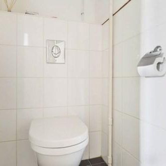 Limietlaan, 5216 JJ 's-Hertogenbosch, Nederland - Foto 1