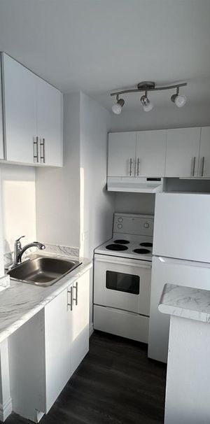 1 Bedroom - 3340 Durocher, Montréal - Photo 1