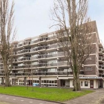 Walenburgerplein, 3039 AL Rotterdam, Nederland - Foto 4