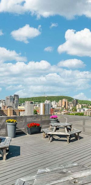 Jr. 1 Bdrm Available At 315 East Rene Levesque Blvd, Montreal - 315 East Rene Levesque Blvd, Montréal - Photo 1