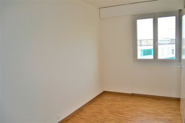 Gradelle - Au dessus du parc des Eaux-Vives - Photo 1