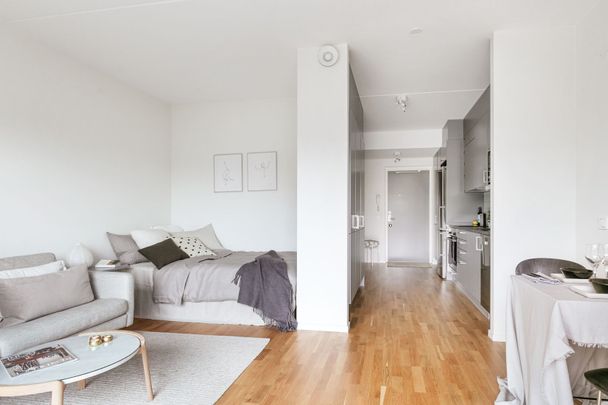 Rosenapelgatan, Göteborg - Photo 1