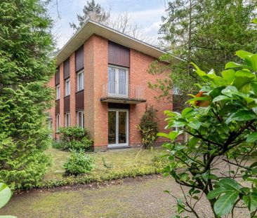 Te renoveren woning met 5 slaapkamers op ca. 2.019 m²! - Photo 5