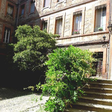 Location Appartement 1 pièce 16m² TOULOUSE 31000 - Photo 1