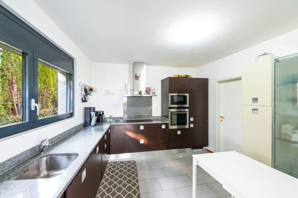 ATIC LAKE VIEW MASSAGNO - Foto 1