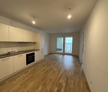 2 Zimmer Wohnung mit Loggia im 7. Stock ab MÄRZ 2026 - Foto 1