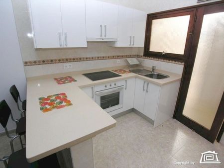 Bungalow to rent in Jamaica, Puerto Rico, Gran Canaria - Photo 2