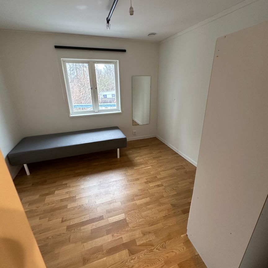 Polarvägen, Vega - Foto 1