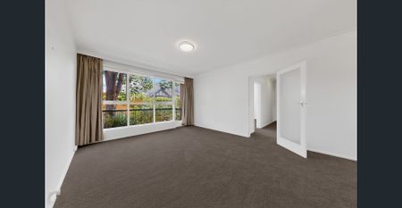 Spacious Ground Floor Apartment in Quiet Boutique Block - Photo 4