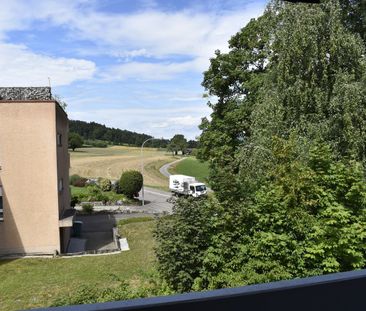 Appartement Dällikon - 1 pièce - Photo 6