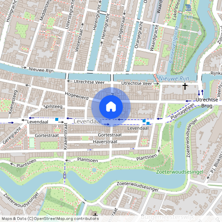 Levendaal-Oost, 2311 NJ, Rijnstraat, Leiden