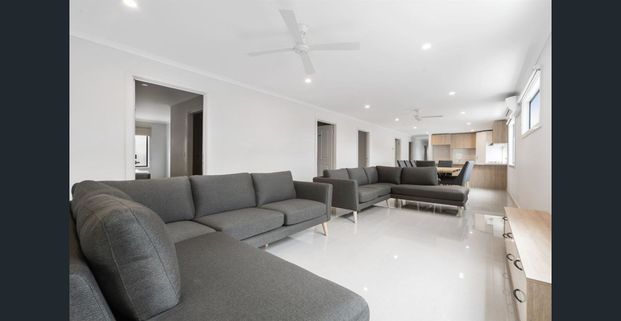 Quality Living, All Utilities Inc. Walk to Uni & Hospital (ONLY ONE PERSON PER STUDIO) - Photo 1