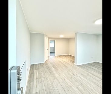 Studio Flat, Park Road, N18 - Photo 2