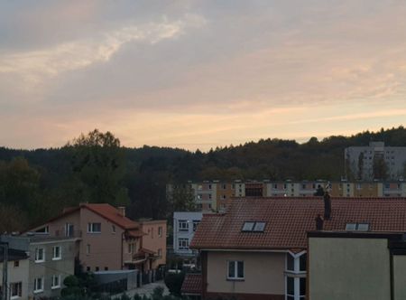 2-pokojowe, piwnica | Gdynia, Leszczynki - Photo 4