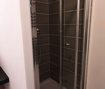 Location Appartement 1 pièce 21m² PALAISEAU 91120 - Photo 3