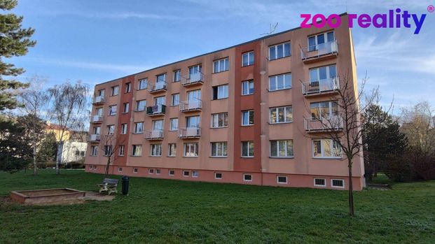 Pronájem bytu 2+1 54 m², Hájkova 2193, Žatec - Photo 1