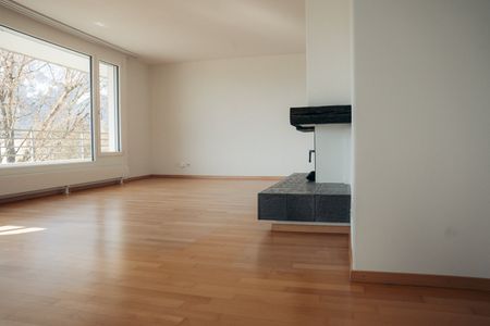 Charmante 4.5-Zimmer-Attikawohnung mit Bergpanorama in Thun - Photo 5