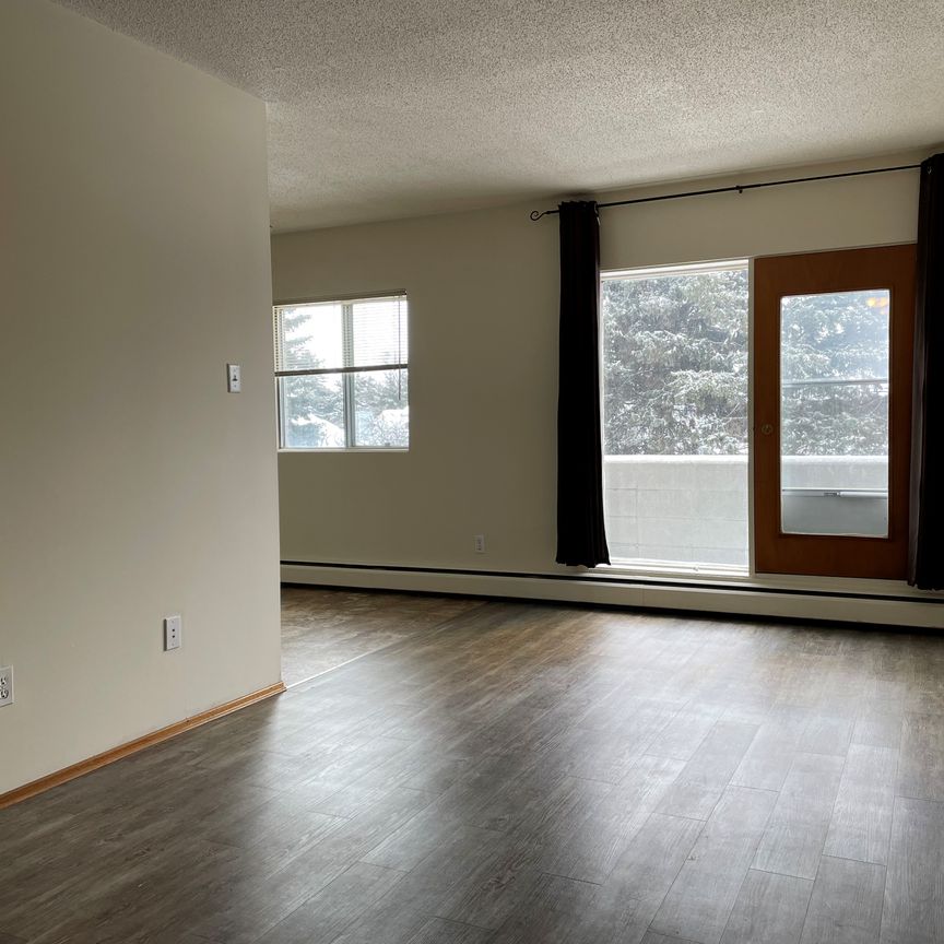 SPACIOUS 2 Bedroom APARTMENT!! GREAT LOCATION Downtown!!! - Photo 1