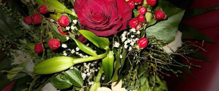 Suche wohnheim - Foto 1